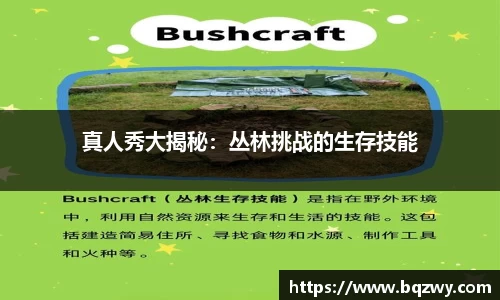 真人秀大揭秘：丛林挑战的生存技能